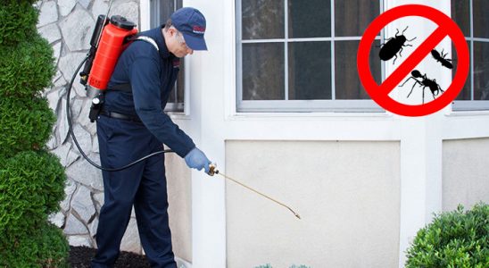 Gazipaşa Böcek İlaçlama böcek ilaçlama ve haşere kontrolü — ilaclama-tr.com